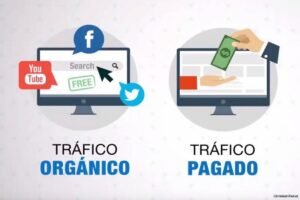 BranideaMX trafico organico vs trafico pagado