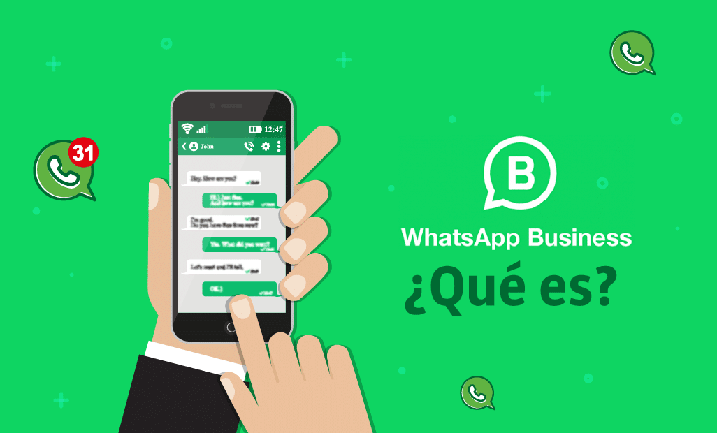 BranideaMX WhatsApp Business